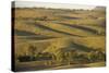 Bunkers Ranges, Seen from Stokes Hill, Flinders Ranges National Park-Tony Waltham-Stretched Canvas