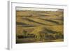 Bunkers Ranges, Seen from Stokes Hill, Flinders Ranges National Park-Tony Waltham-Framed Photographic Print