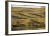 Bunkers Ranges, Seen from Stokes Hill, Flinders Ranges National Park-Tony Waltham-Framed Photographic Print