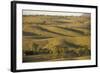 Bunkers Ranges, Seen from Stokes Hill, Flinders Ranges National Park-Tony Waltham-Framed Photographic Print