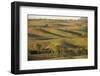 Bunkers Ranges, Seen from Stokes Hill, Flinders Ranges National Park-Tony Waltham-Framed Photographic Print