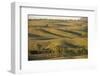 Bunkers Ranges, Seen from Stokes Hill, Flinders Ranges National Park-Tony Waltham-Framed Photographic Print