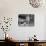 Bunkrooms in New York Tenement House-null-Photographic Print displayed on a wall