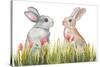 Bunnies Among the Flowers II-Elizabeth Medley-Stretched Canvas