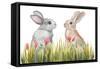 Bunnies Among the Flowers II-Elizabeth Medley-Framed Stretched Canvas