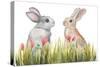 Bunnies Among the Flowers II-Elizabeth Medley-Stretched Canvas