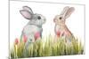 Bunnies Among the Flowers II-Elizabeth Medley-Mounted Art Print