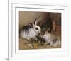 Bunnies' Meal II-Alfred Barber-Framed Premium Giclee Print