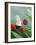 Bunnies & Tulips-sylvia pimental-Framed Art Print