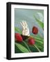 Bunnies & Tulips-sylvia pimental-Framed Art Print