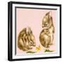 Bunnies-Peggy Harris-Framed Giclee Print