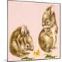 Bunnies-Peggy Harris-Mounted Giclee Print