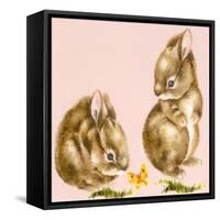 Bunnies-Peggy Harris-Framed Stretched Canvas