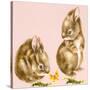 Bunnies-Peggy Harris-Stretched Canvas