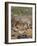 Bunnies-Rusty Frentner-Framed Giclee Print