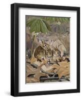 Bunnies-Rusty Frentner-Framed Premium Giclee Print