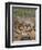 Bunnies-Rusty Frentner-Framed Premium Giclee Print