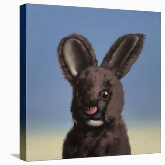 Bunny, 2017,-Peter Jones-Stretched Canvas