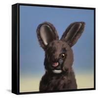 Bunny, 2017,-Peter Jones-Framed Stretched Canvas