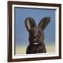Bunny, 2017,-Peter Jones-Framed Giclee Print