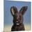 Bunny, 2017,-Peter Jones-Mounted Giclee Print