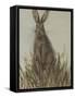 Bunny 2-Mary Miller Veazie-Framed Stretched Canvas