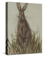 Bunny 2-Mary Miller Veazie-Stretched Canvas