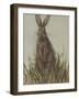 Bunny 2-Mary Miller Veazie-Framed Giclee Print