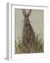 Bunny 2-Mary Miller Veazie-Framed Giclee Print