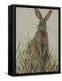 Bunny 3-Mary Miller Veazie-Framed Stretched Canvas