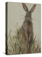 Bunny 3-Mary Miller Veazie-Stretched Canvas