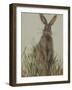 Bunny 3-Mary Miller Veazie-Framed Giclee Print