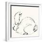 Bunny 3-Katie Todaro-Framed Giclee Print