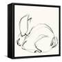 Bunny 3-Katie Todaro-Framed Stretched Canvas