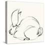 Bunny 3-Katie Todaro-Stretched Canvas