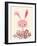 Bunny and Blooms-null-Framed Giclee Print