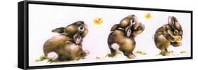 Bunny and Lightning Bug-Peggy Harris-Framed Stretched Canvas