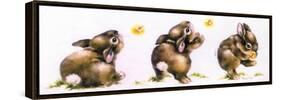 Bunny and Lightning Bug-Peggy Harris-Framed Stretched Canvas