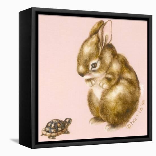 Bunny and Turtle-Peggy Harris-Framed Stretched Canvas