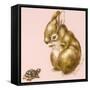 Bunny and Turtle-Peggy Harris-Framed Stretched Canvas