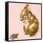 Bunny and Turtle-Peggy Harris-Framed Stretched Canvas