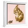 Bunny and Turtle-Peggy Harris-Framed Giclee Print