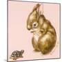 Bunny and Turtle-Peggy Harris-Mounted Giclee Print