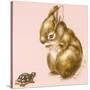 Bunny and Turtle-Peggy Harris-Stretched Canvas