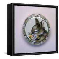 Bunny Circle II-Peggy Harris-Framed Stretched Canvas