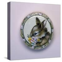 Bunny Circle II-Peggy Harris-Stretched Canvas