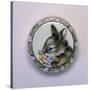 Bunny Circle II-Peggy Harris-Stretched Canvas