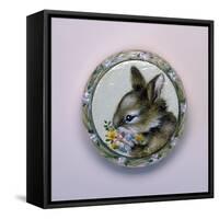 Bunny Circle II-Peggy Harris-Framed Stretched Canvas