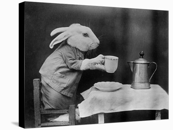 Bunny Coffee Break-null-Stretched Canvas