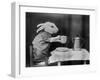 Bunny Coffee Break-null-Framed Premium Photographic Print